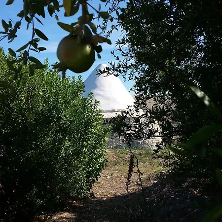 I Trulli Sul Mare 빌라
