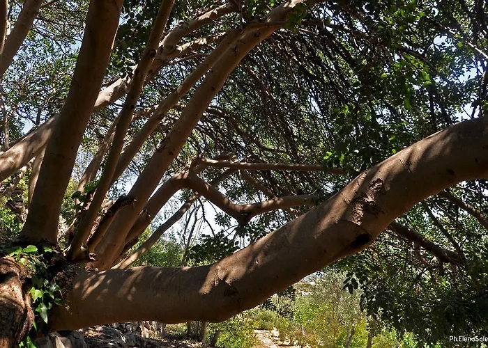 Villa I Trulli Sul Mare Trani