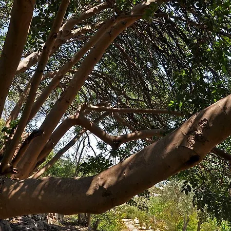 Villa I Trulli Sul Mare Trani